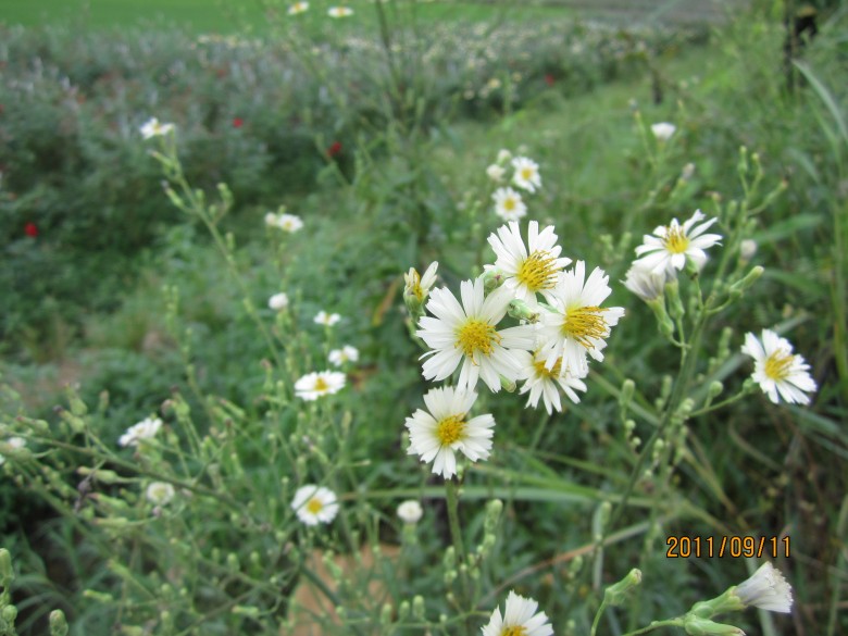 õ�� 094_conew1.jpg