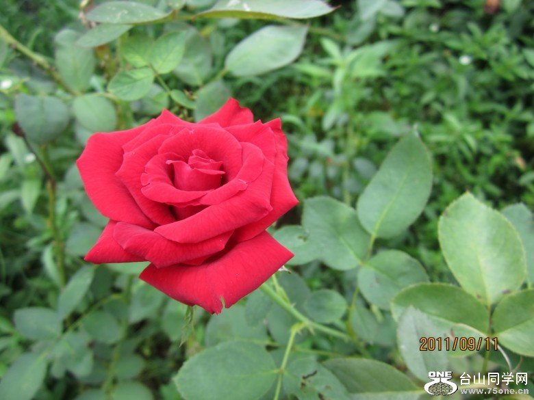 õ�� 131_conew1.jpg