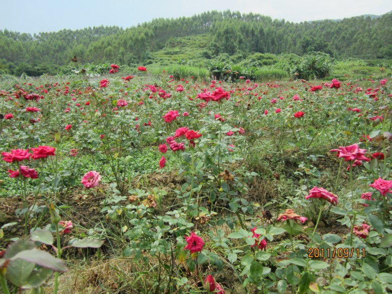 õ�� 167_conew1.jpg