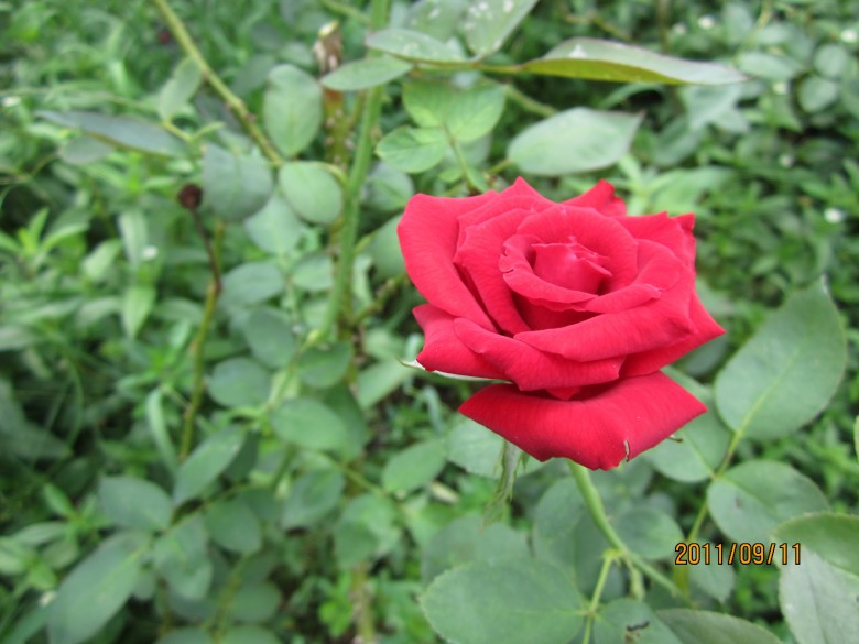 õ�� 134_conew1.jpg