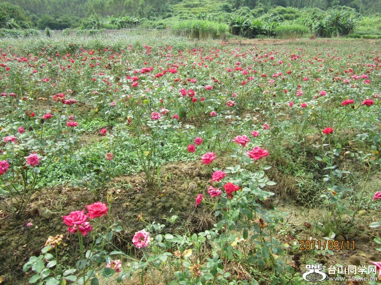 õ�� 168_conew1.jpg