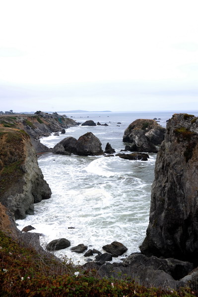 DSC_8370.JPG