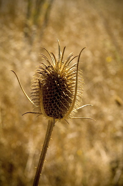 RH1_0008.jpg