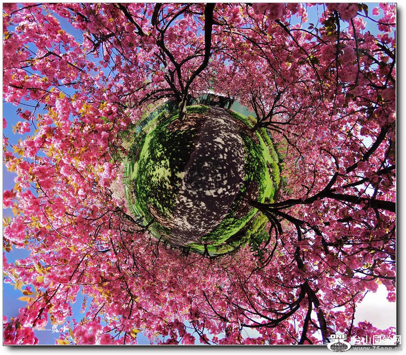 DSC_0473 Panorama.jpg