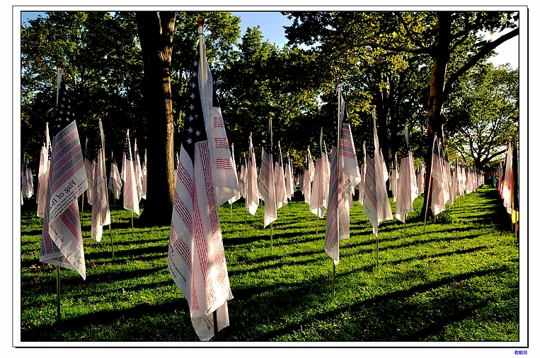 ���� 344-1.jpg