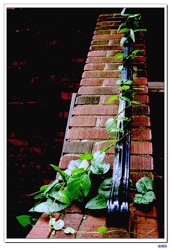 ���� 059-1.jpg