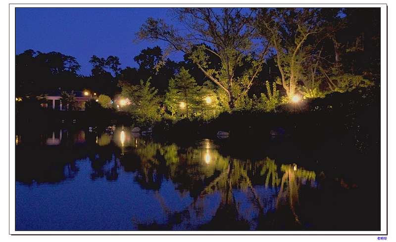 ���� 110-1.jpg