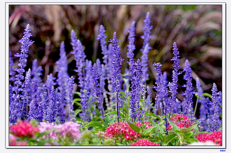 ŦԼ۽ڣ2011 471-1.jpg