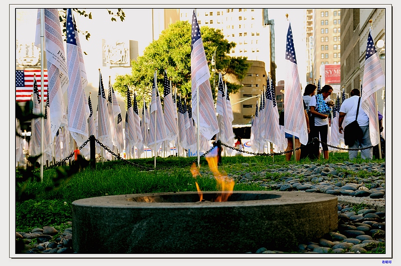 ���� 351-1.jpg