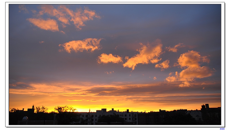 ����-1 115-1.jpg