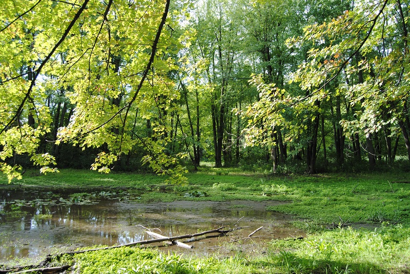 DSC_6561.JPG