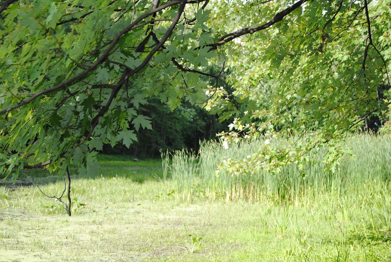 DSC_6571.JPG