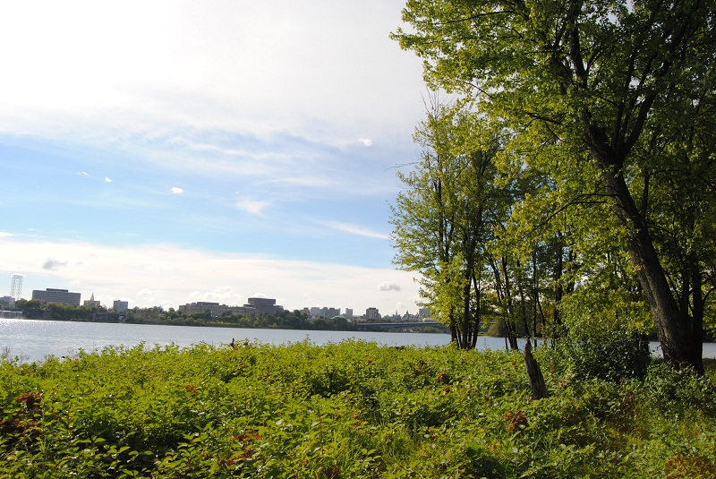 DSC_6580.JPG