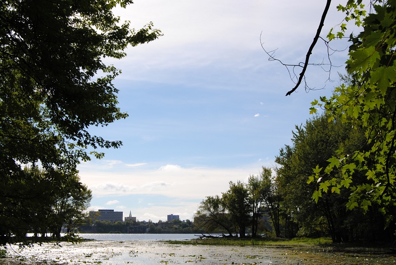 DSC_6567.JPG