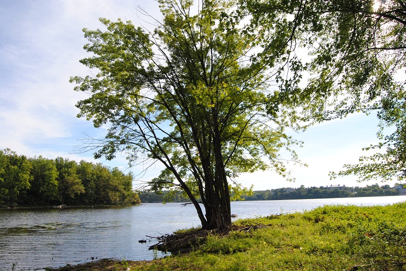 DSC_6576.JPG