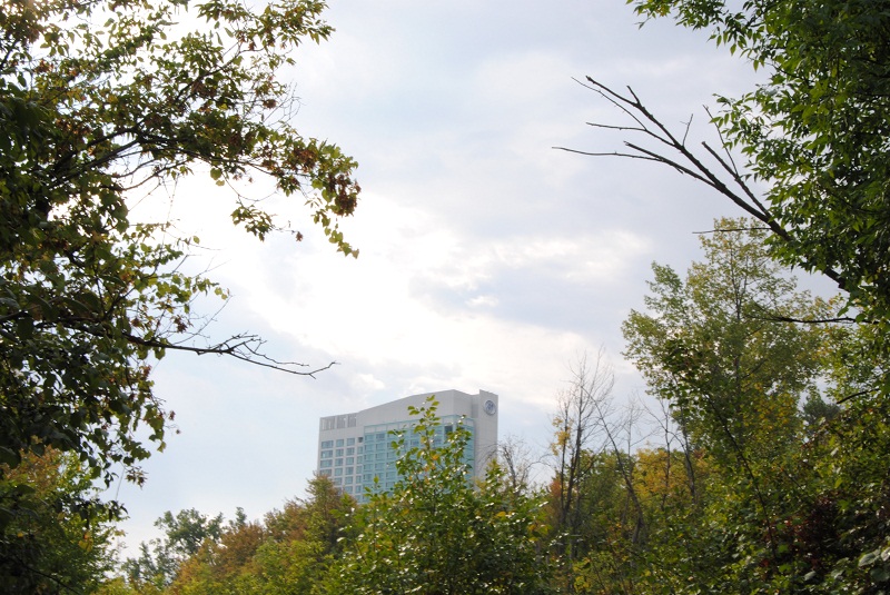 DSC_6795.JPG