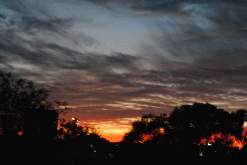 DSC_6515.JPG
