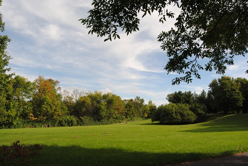 DSC_6598.JPG