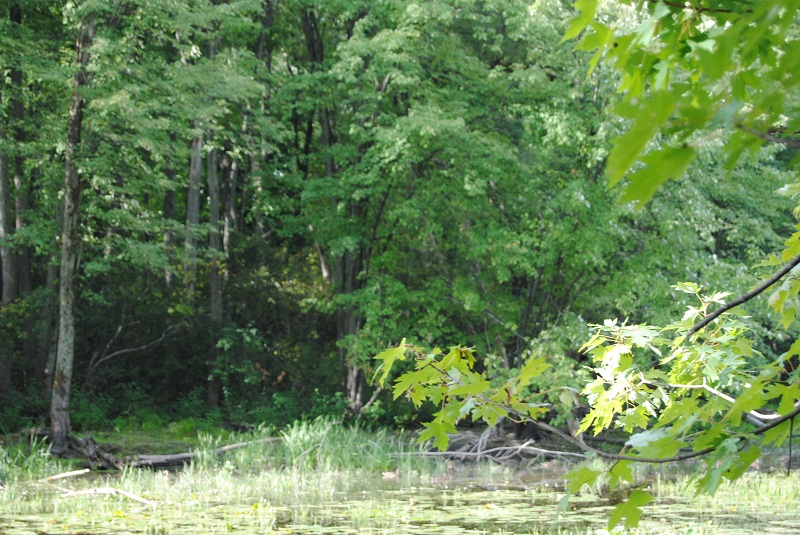 DSC_6572.JPG