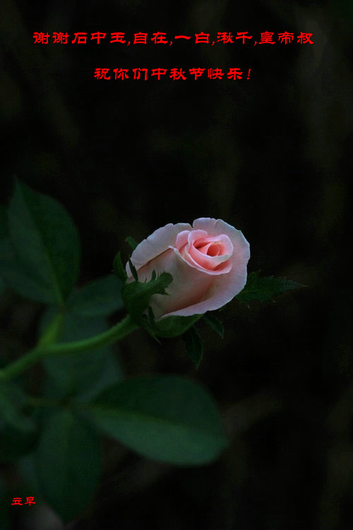 IMG_2685_.JPG