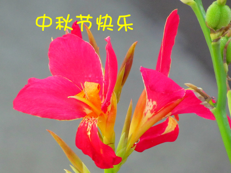 IMG_8660_2.jpg