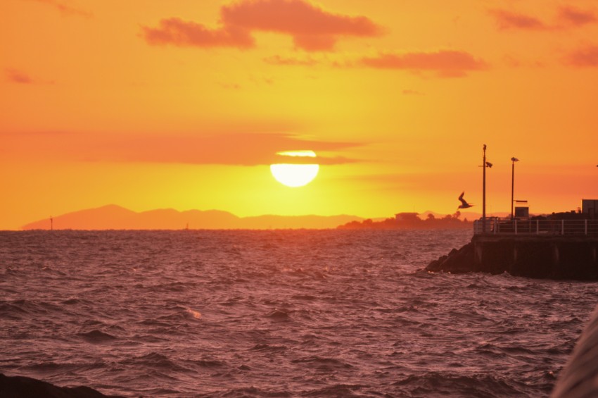 CSC_3751 [1600x1200].jpg