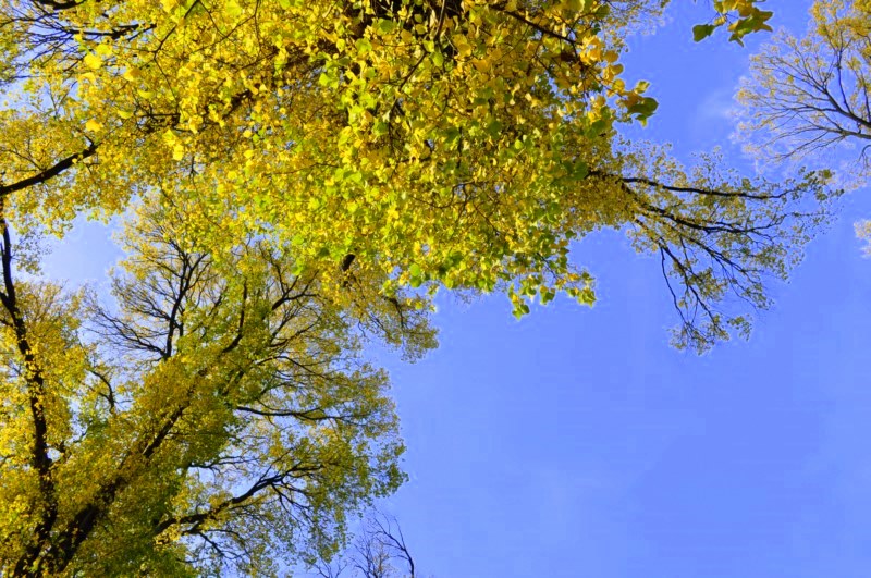 _DSC0128 [800x600].jpg