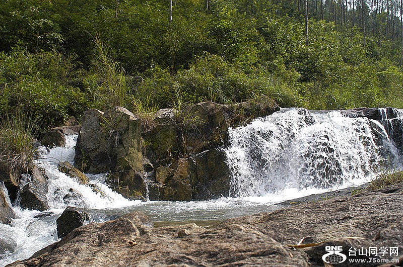 dsc_0047_.jpg