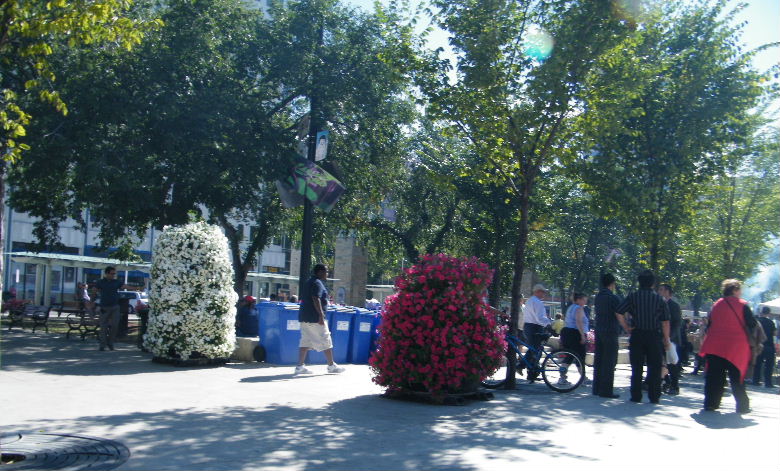 DSCF7239.JPG