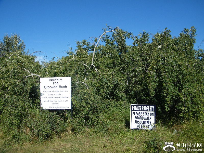 DSCF7873.JPG
