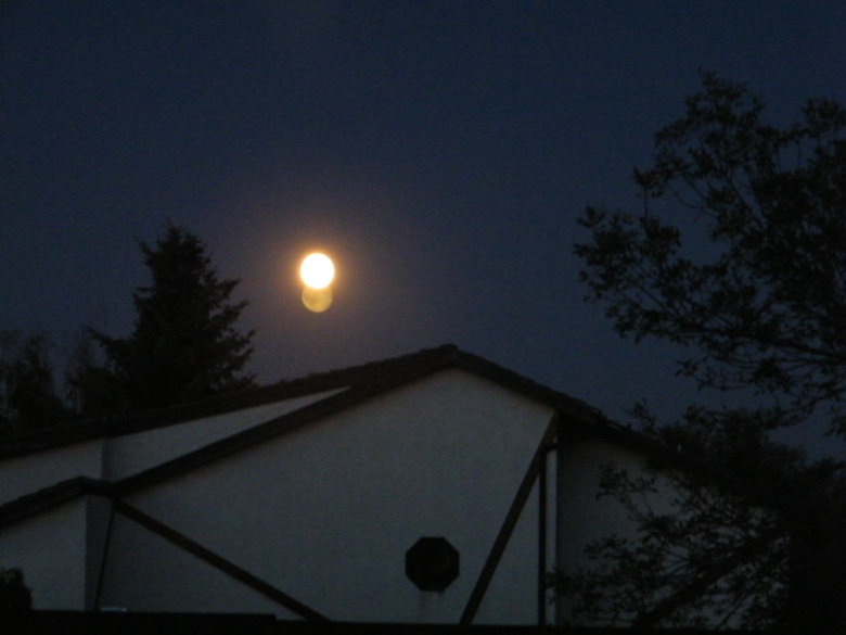 DSCF8445.JPG