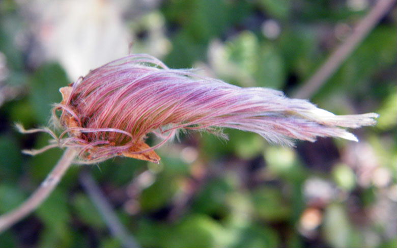 DSCF4560.JPG