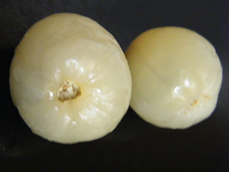 DSCF2518.JPG