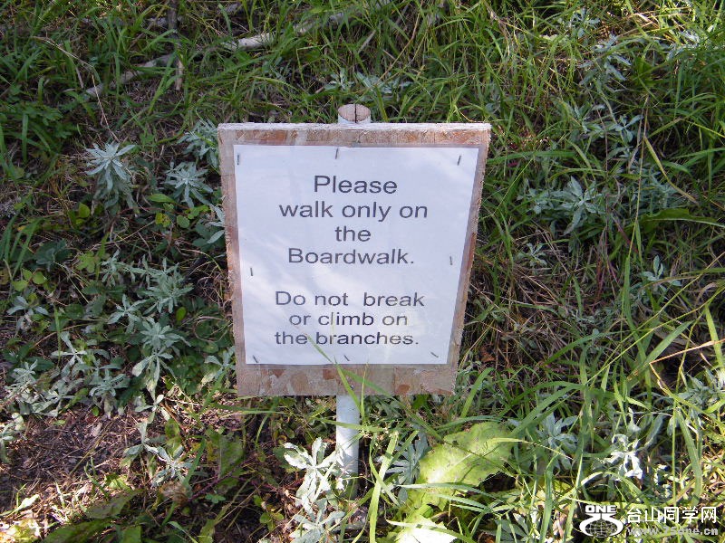 DSCF7926=.jpg