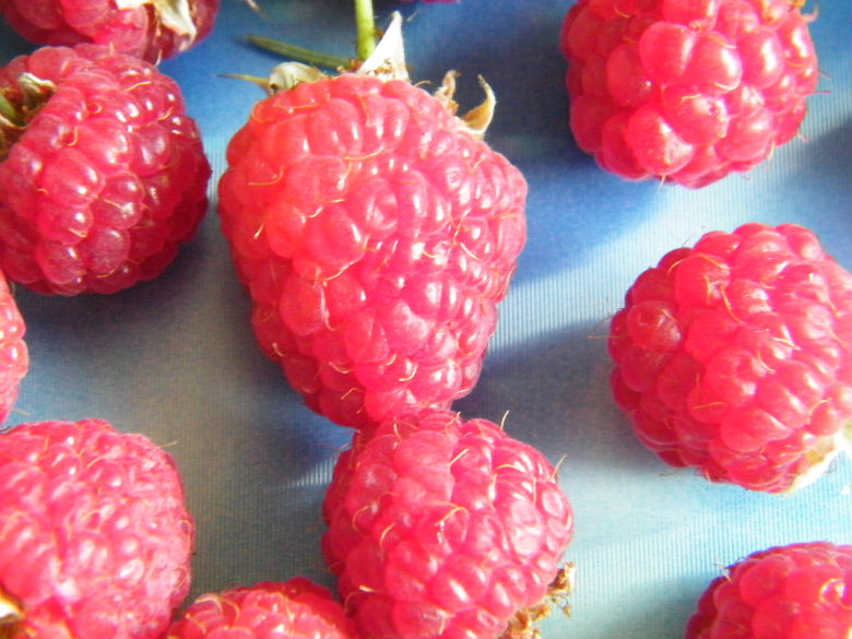 DSCF2480.JPG