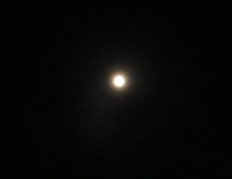 DSCF8430.JPG