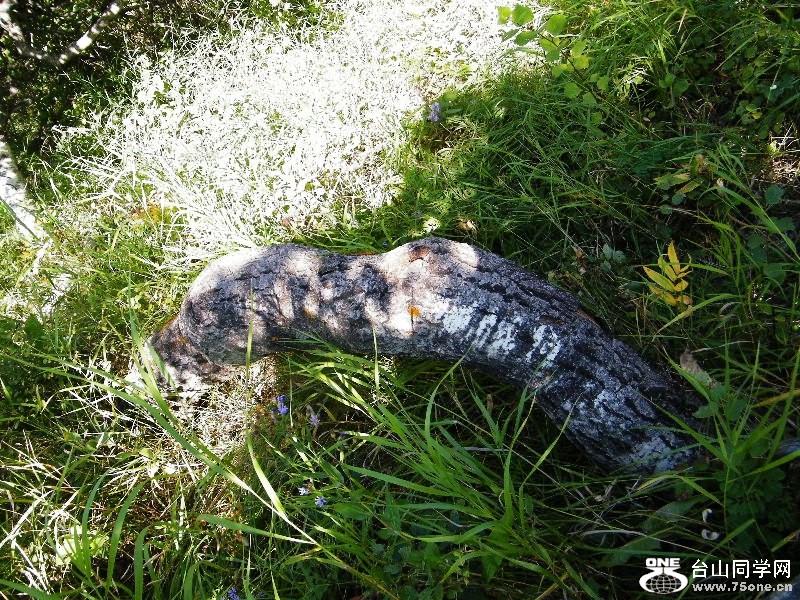 DSCF7992=.jpg