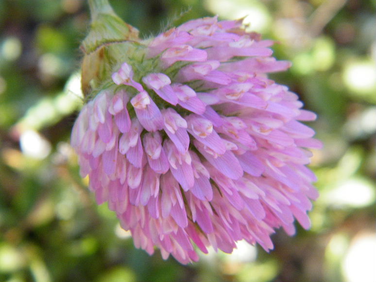 DSCF4562.JPG