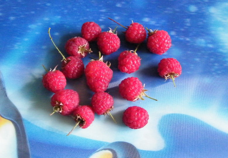 DSCF2478.JPG