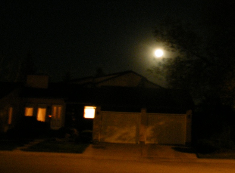 DSCF8454.JPG