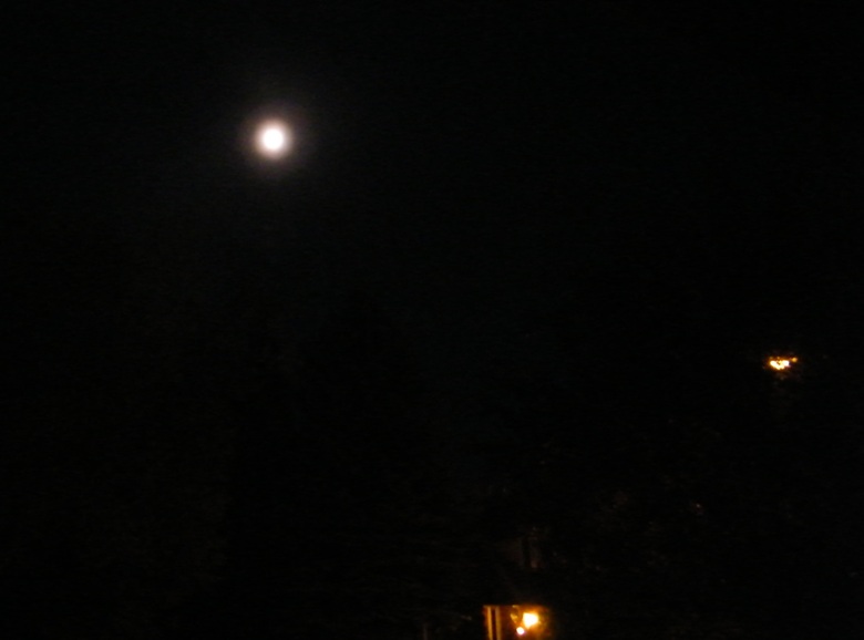 DSCF8429.JPG