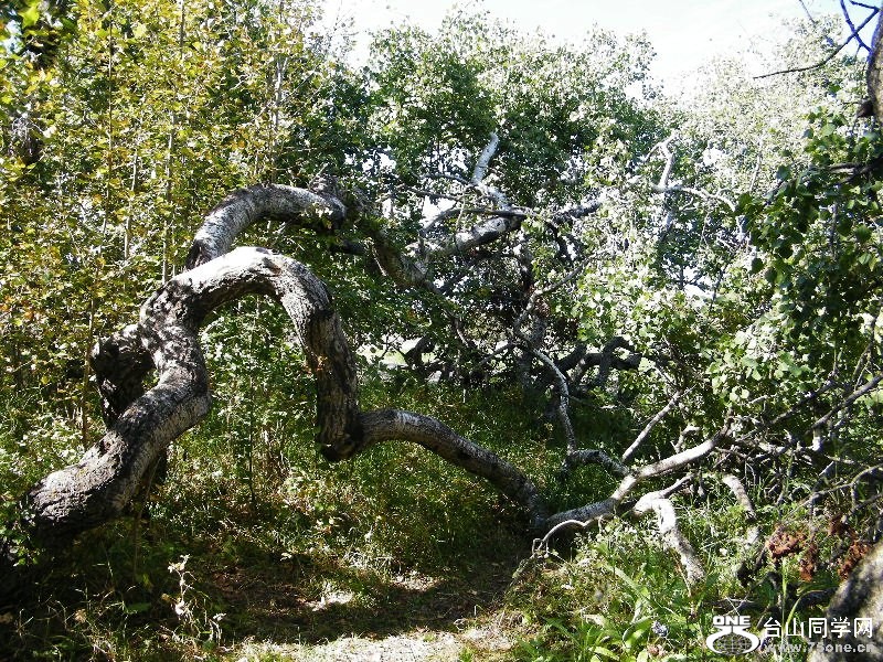 DSCF7938=.jpg