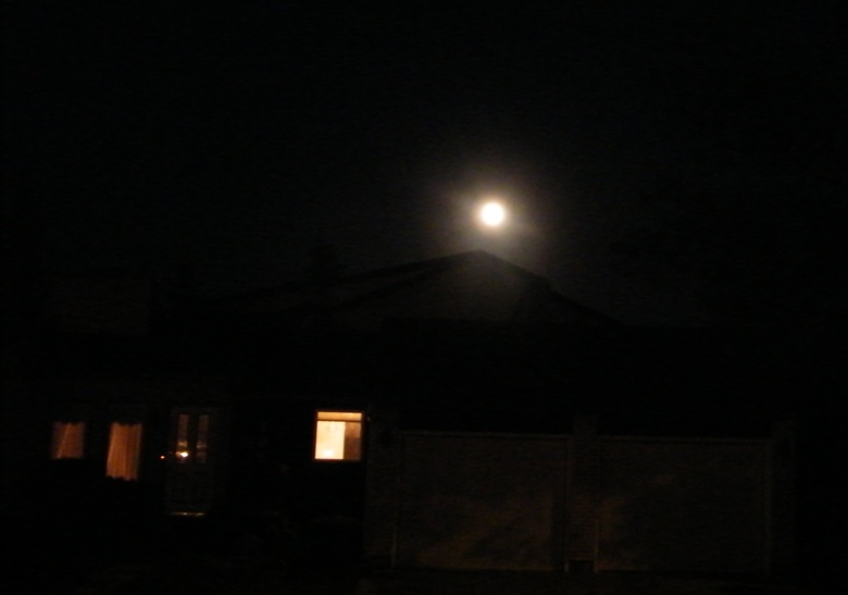 DSCF8447.JPG