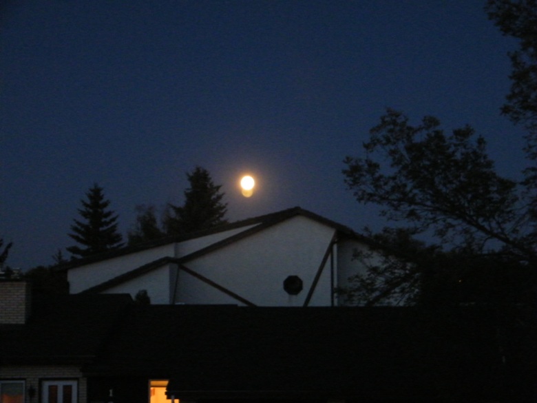 DSCF8443.JPG