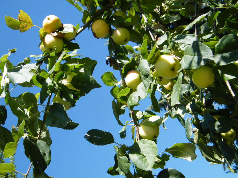 DSCF7630.JPG