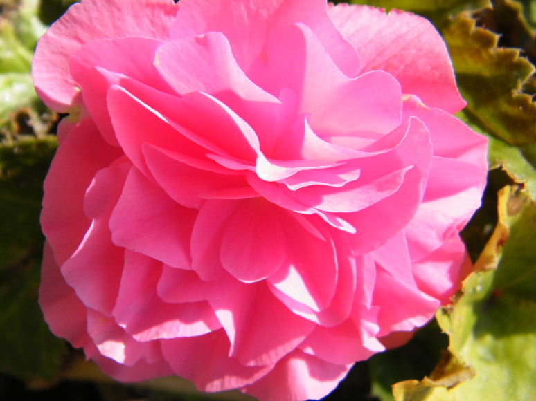 DSCF7232.JPG