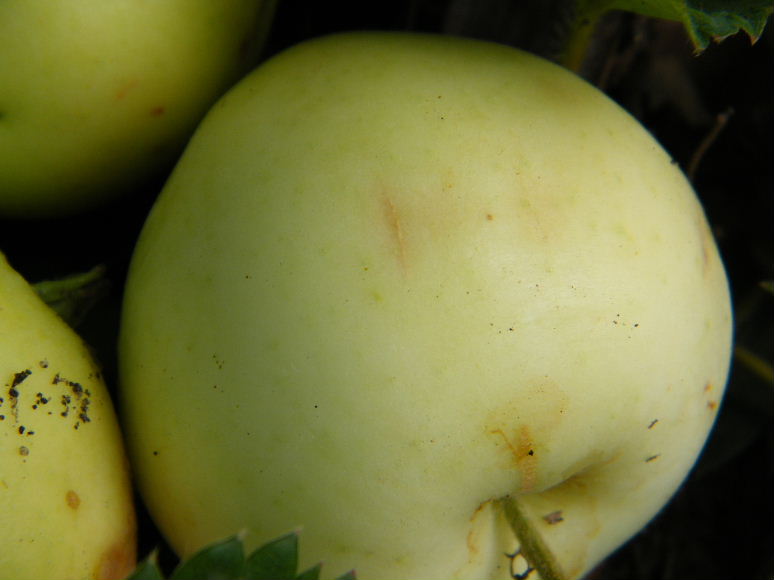 DSCF7659.JPG