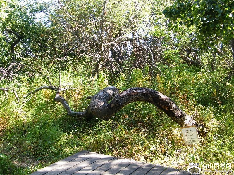 DSCF7951=.jpg