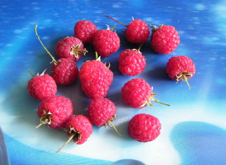 DSCF2479.JPG