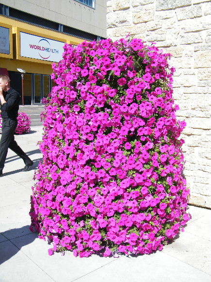 DSCF7163.JPG